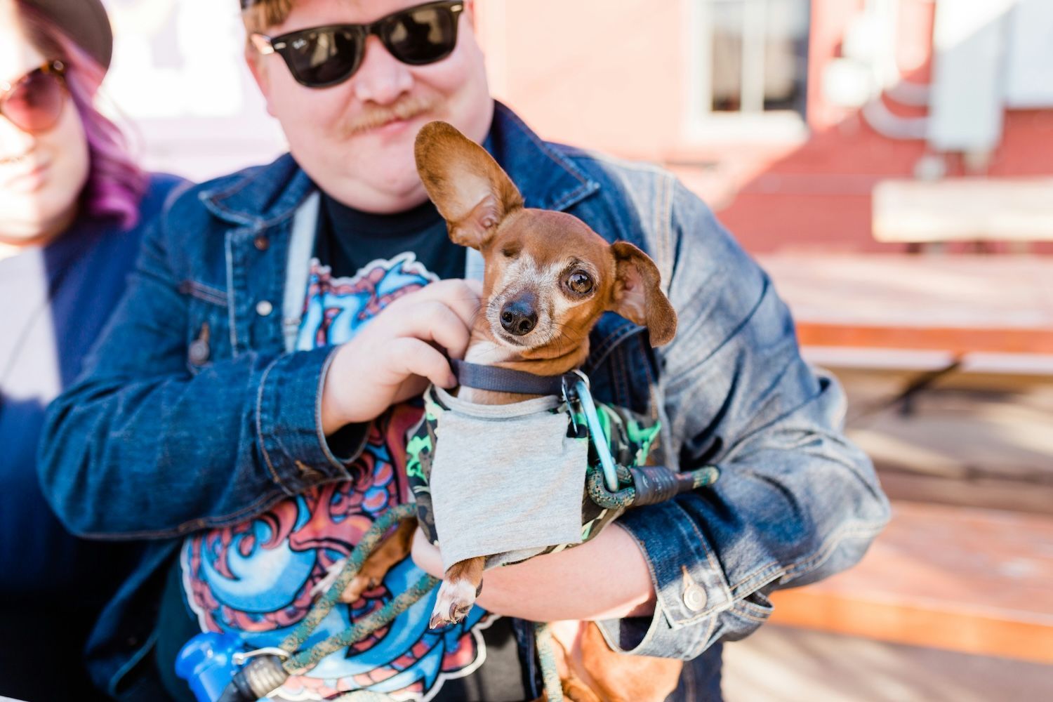 Dog being held by a man in sunglasses